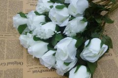 白玫瑰的花语是白月光吗，不是（代表纯洁和美丽）