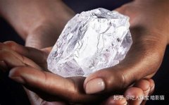 钻石番王繁殖条件